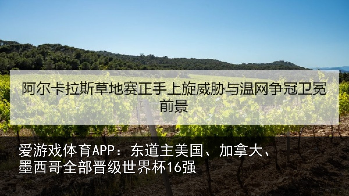 爱游戏体育APP：东道相关情况哥全部晋级世界杯16强