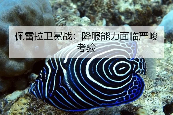 佩雷拉卫冕战：降服能力面临严峻考验