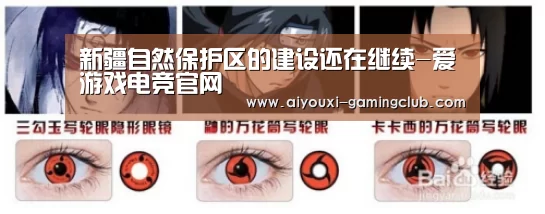 爱游戏电竞官网
