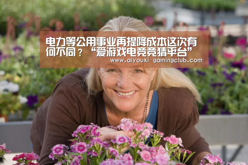 电力等公用事业再提降成本这次有何不同?“爱游戏电竞竞猜平台”(图3) 爱游戏电竞APP